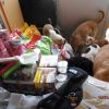futter_6