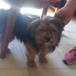 Chuchi_3