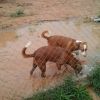 unwetter_3