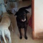 rocky_5