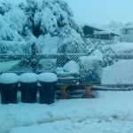 winter_1
