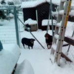 winter_2