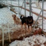 winter_5